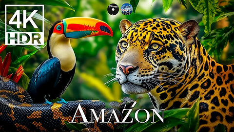 Amazon Rainforest / Documentary / 2025 / Historical Knowlege