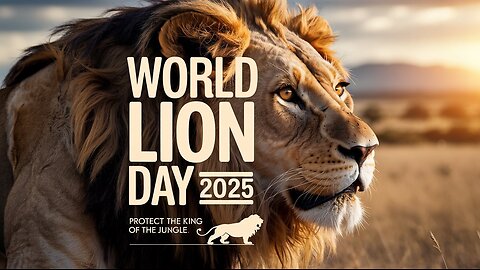 World Lion Day 2025 | Protecting the King of the Jungle & Global Conservation Efforts
