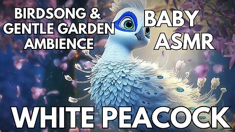🍼 White Peacock Ambience | Gentle Garden Sounds for Babies | Relaxing Springtime Nursery ASMR