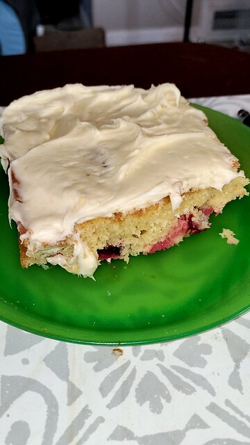 Eating Yellow Cake Baked With Fresh Whole Cranberries, Cooked By Wife, Dbn, MI, 12/24/25