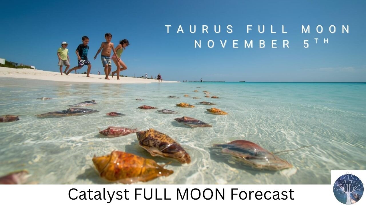 TAURUS Full Moon - Catalyst Full Moon Forecast - Nov 5-19, 2025
