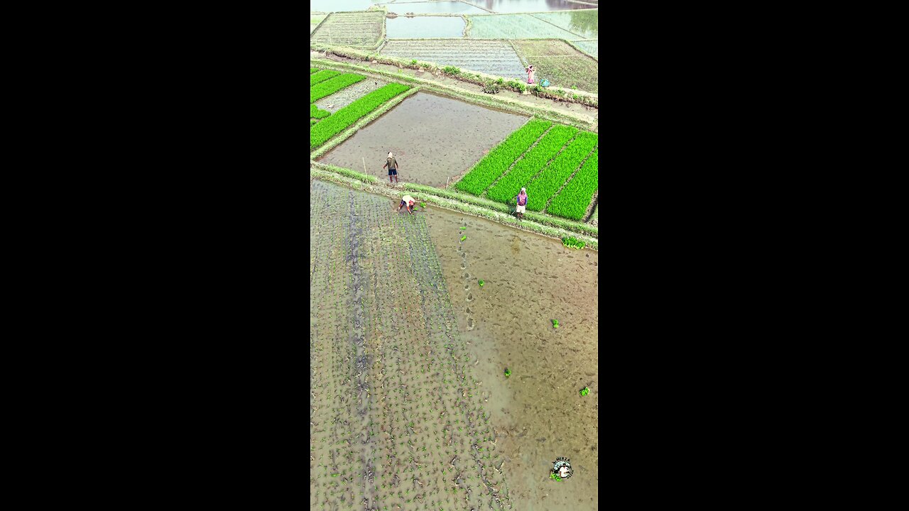 তীব্র শীতেও তাদের পরিশ্রম চলছে