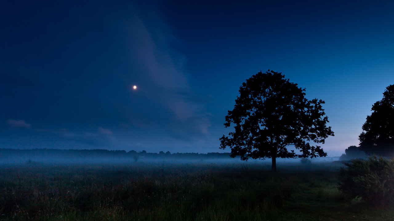Summer Lunar Meditation - Empathically Bolstering Your Growth Phase for This Year