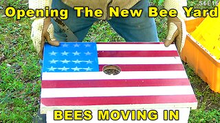 Opening the Honey Creek Bee Yard.