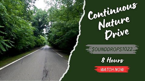 8 Hours of Continuous Nature Drive Relaxation