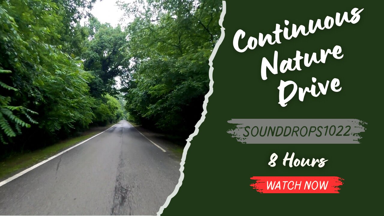 8 Hours of Continuous Nature Drive Relaxation
