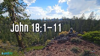 John 18:1-11, Bible Reading in Nature, BSB