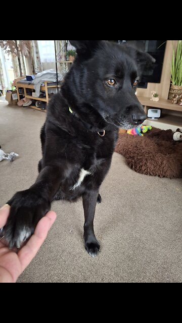 my boy ❤️❤️❤️❤️