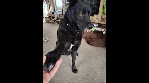 my boy ❤️❤️❤️❤️