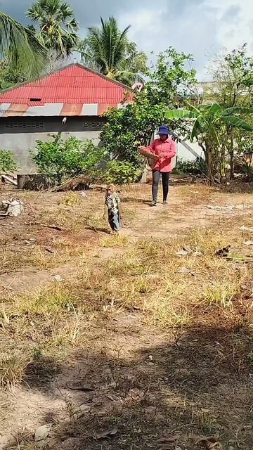 Lovely animal SokYaa, OG, Pao Mom Are Famous Around The World #shorts #anime #trend #edit