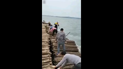 They threw branches in the sea 🌊