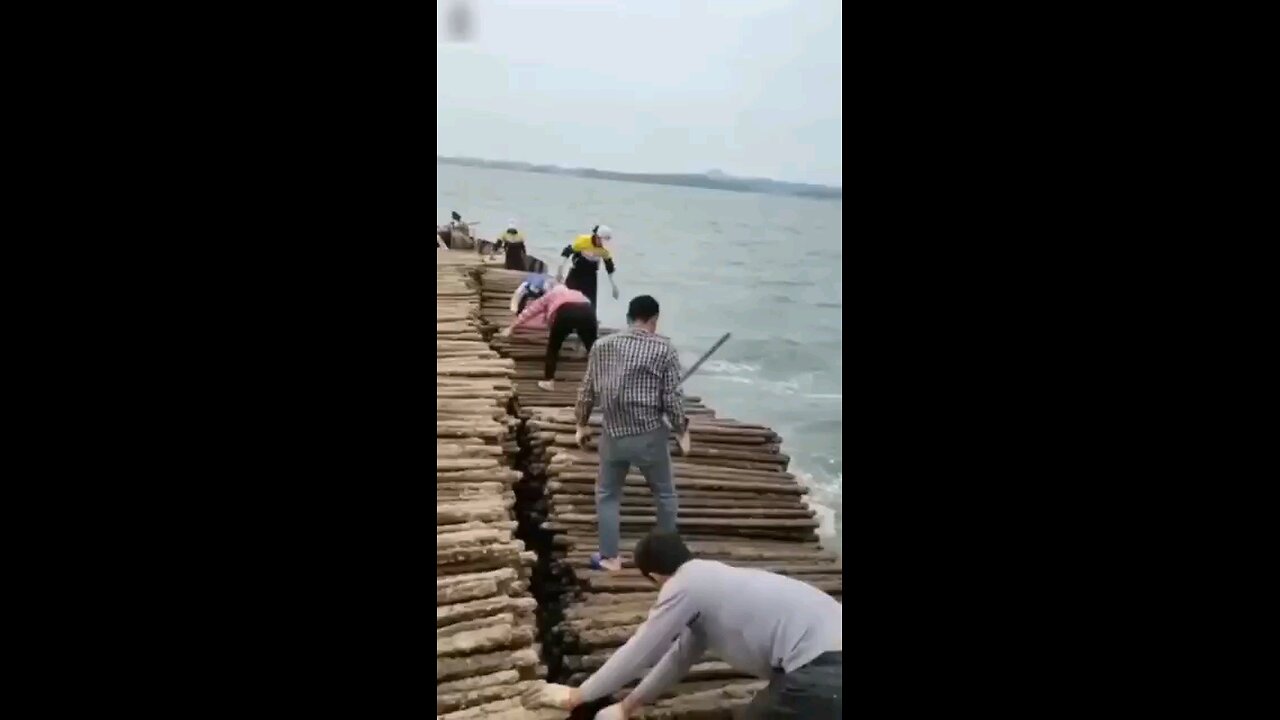 They threw branches in the sea 🌊