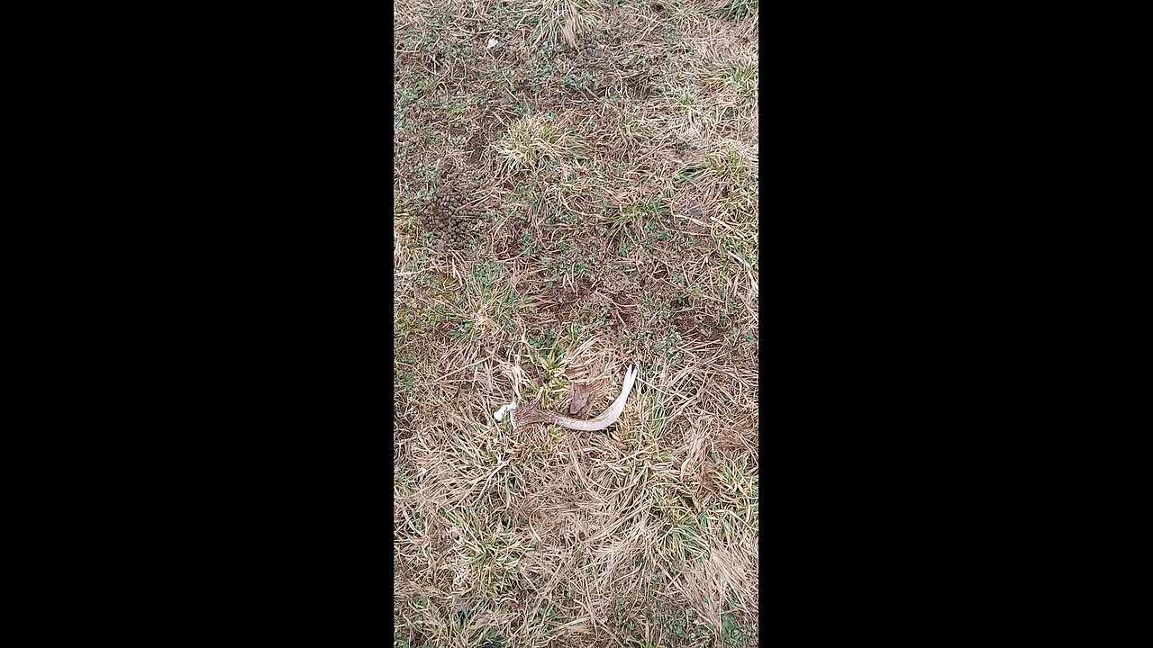 shed hunting 2024 Catskill mountains