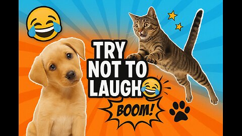 Cute and Funny Animal Videos – Part 2 🤣🐾 | Best Pet Fails & Adorable Moments!