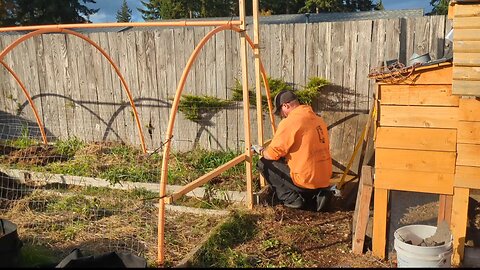 Regenerative Domestic Chicken Farming