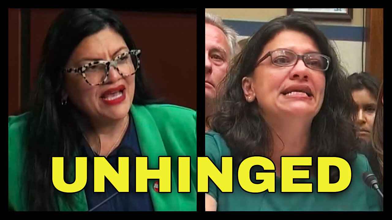 FULL BLOWN SCREAMING MATCH in Congress: TLAIB vs DONALDS