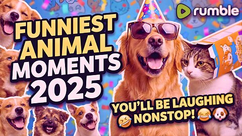 Funniest Animal Moments of 2025 🐶😂 You’ll Be Laughing Nonstop! | Must Watch