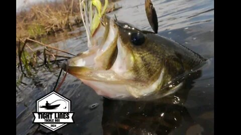 March Tight Lines box