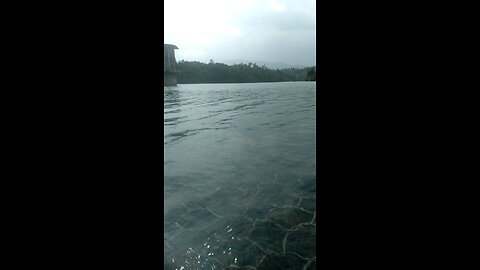 Nature, News, Travel