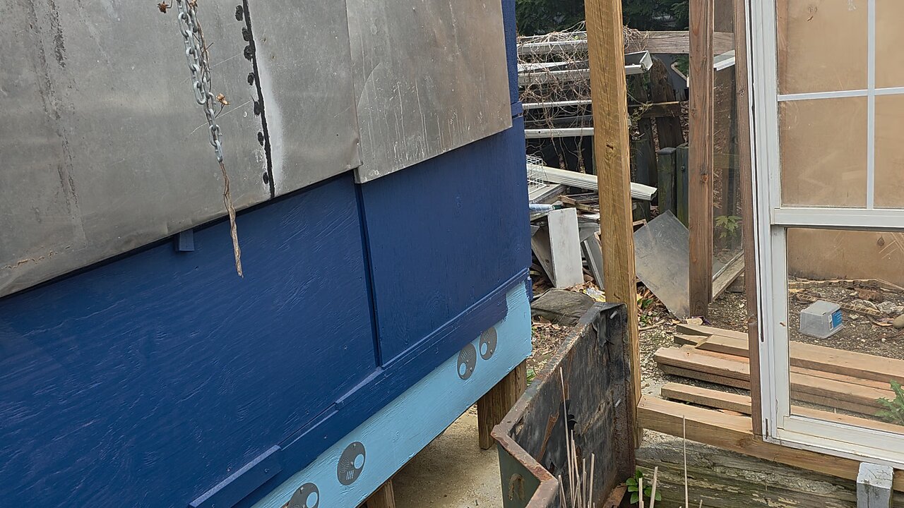 The Bees In Their New Home