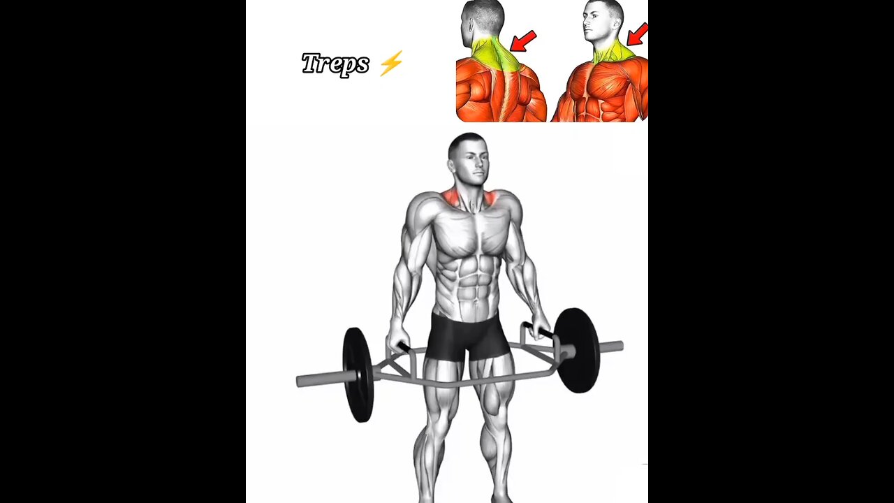 Gain Muscle And Strength Now