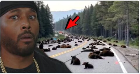 The Animals Are Acting Strange Again... And Its Freaking People Out - Dre_OG Reacts