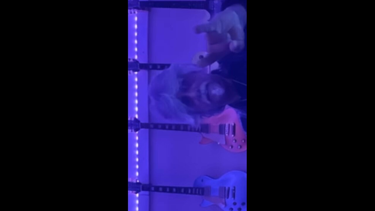 Witches and Warlocks