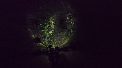 Cycling, 05.11.2025 [A] Wienerberg Low Light Ride