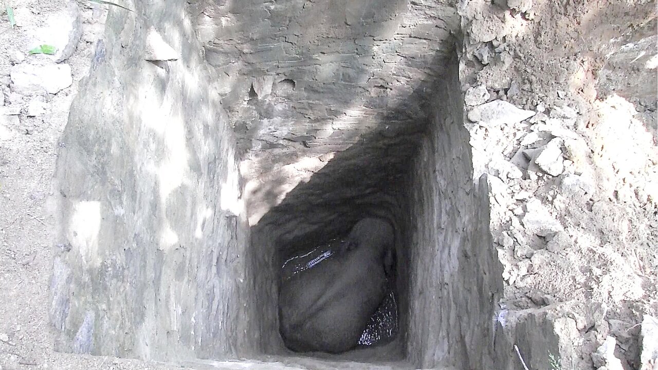 Heart-Stopping Rescue: Massive Elephant Stuck in a Well Just His Size