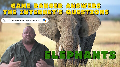 GAME RANGER ANSWERS THE INTERNET: ELEPHANTS!