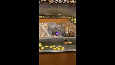 STRANGE Carnival Game! 🤬