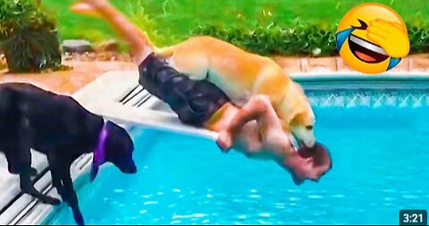 Best Funny Animal videos 😂- Funniest Dogs and Cats Videos 😸🐈🐕