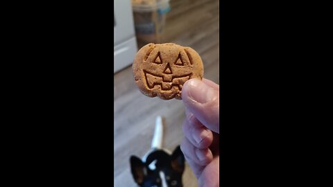 Treat Time