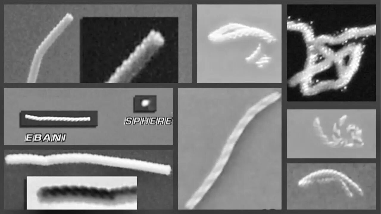 "Flying Serpent" / EBANI - Unidentified Aerial Biological Entity - UFO sightings