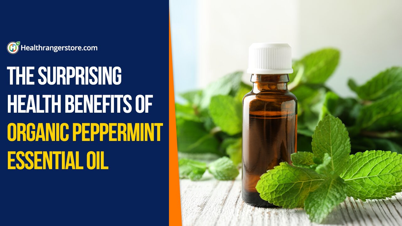 The surprising health benefits of Organic Peppermint Essential Oil