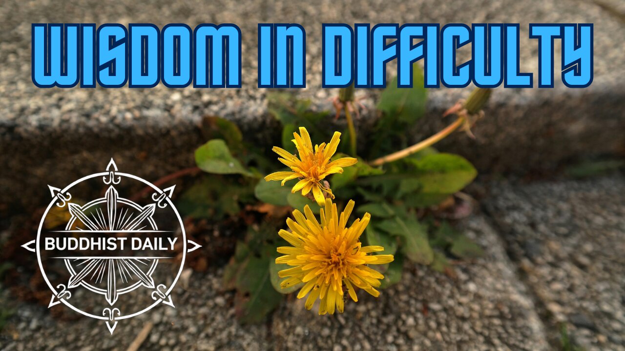 The Wisdom Hidden in Difficulty: Lama Dawa's Thoughts