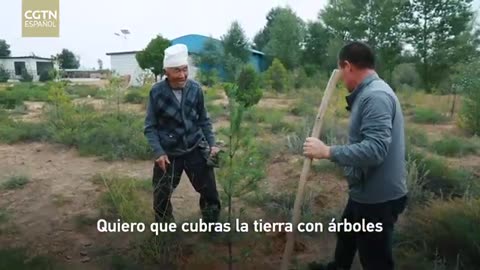 El viejo y el desierto