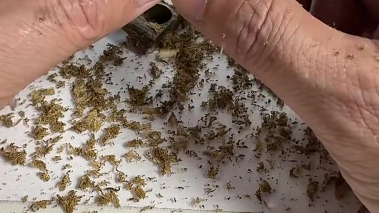 🤯✨ Incredible Tool In Action! | FeedMyCuriosity