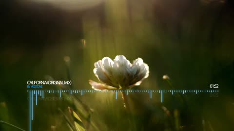 🎧 California – Vicetone | Melodic Progressive House