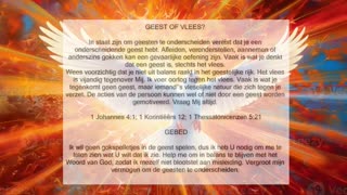 Geest of Vlees