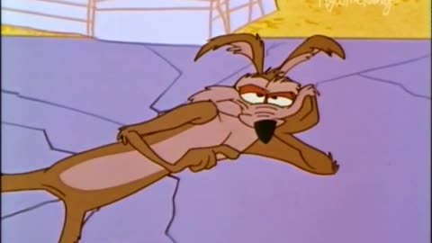 Wile E. Coyote And Road Runner - (Ep. 23) - Zoom At The Top