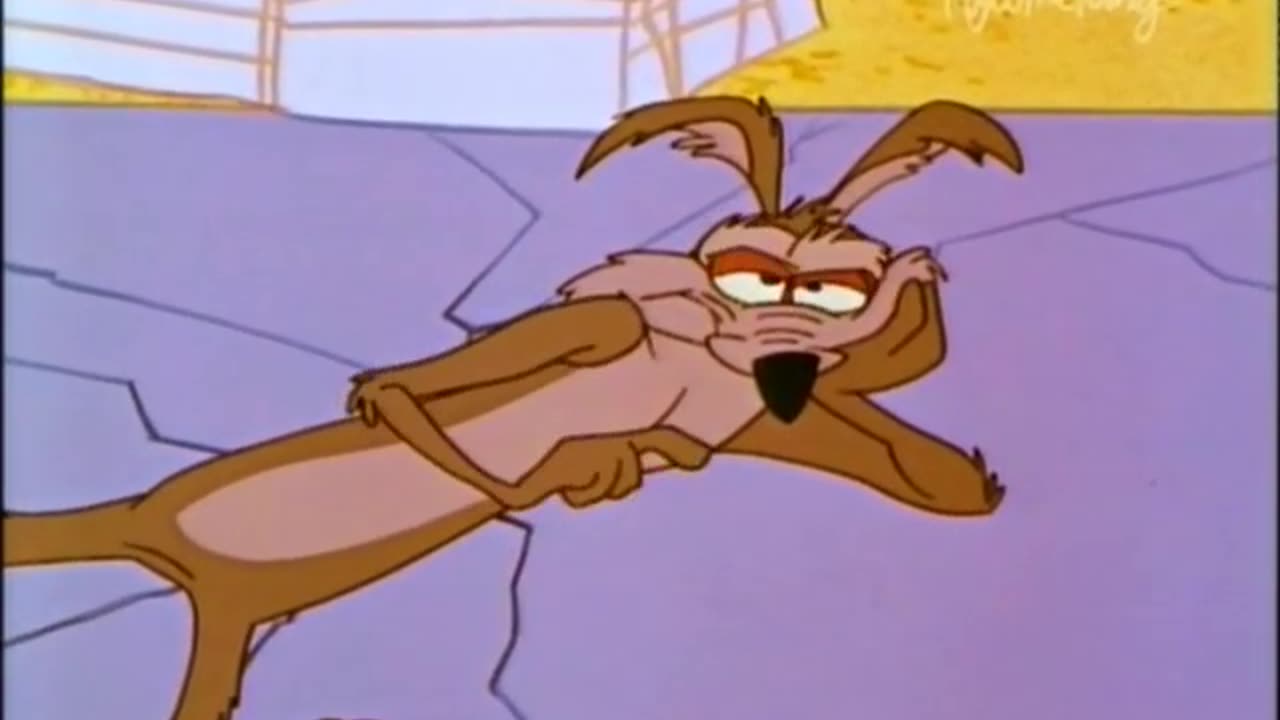 Wile E. Coyote And Road Runner - (Ep. 23) - Zoom At The Top