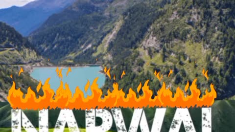 Narwal