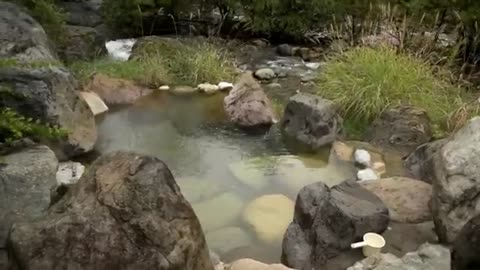 Viral: Staying at a Traditional Japanese Inn | Ryokan & Onsen Etiquette