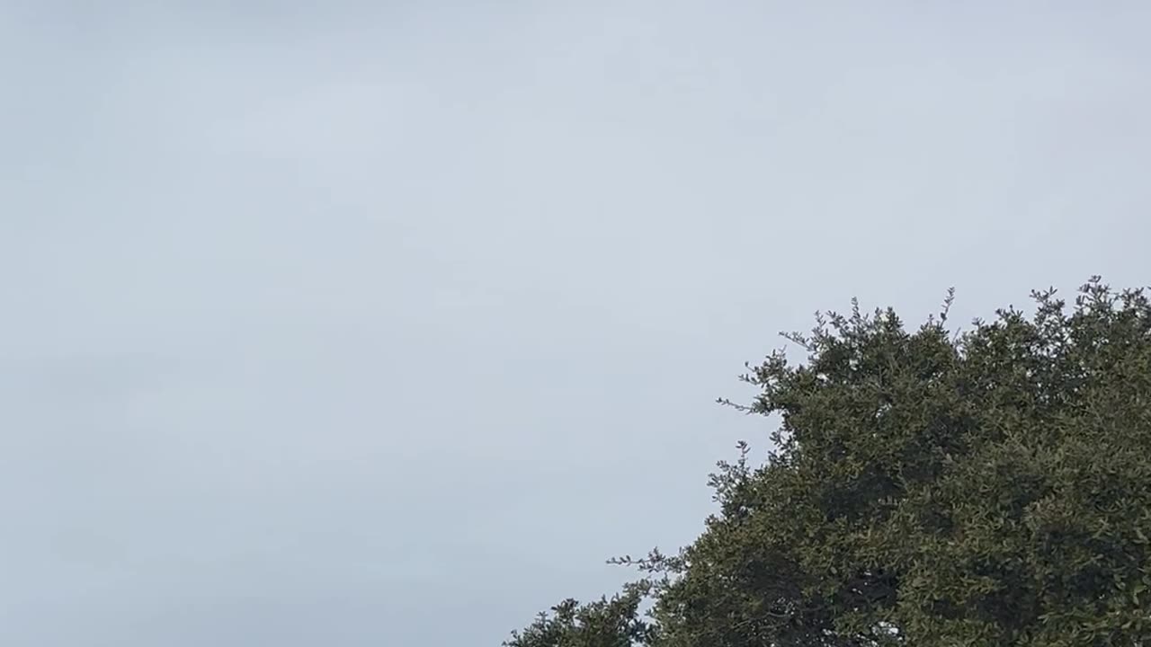 Effects of the bombardment this morning!