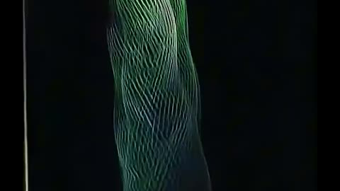 Pro fisher using a beast of a fishing rod