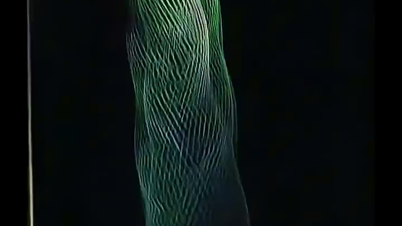 Pro fisher using a beast of a fishing rod