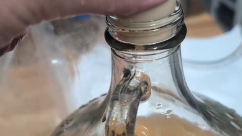 Moved the strawberry mango mead into a new container