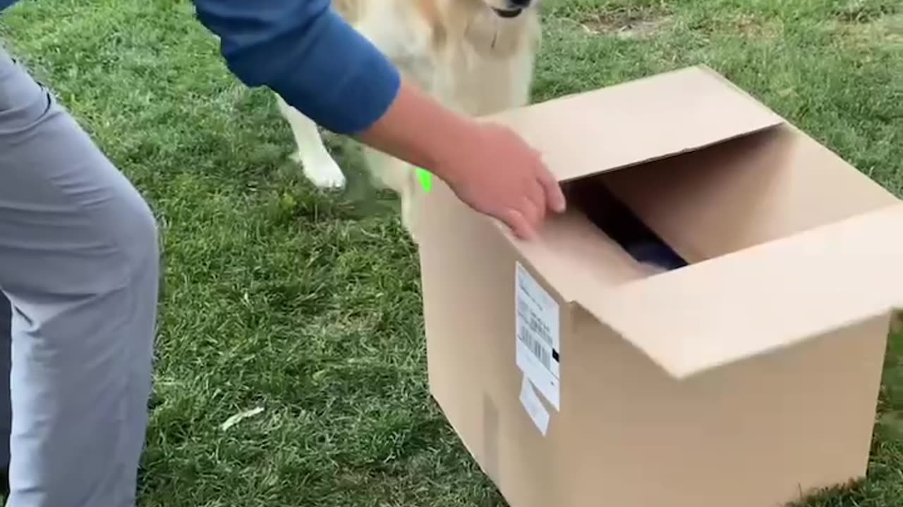 Life is full of beautiful surprises
