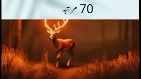 Na Mumkin Kam Ka wazifa